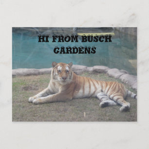 Cartão Postal Jardins de Busca