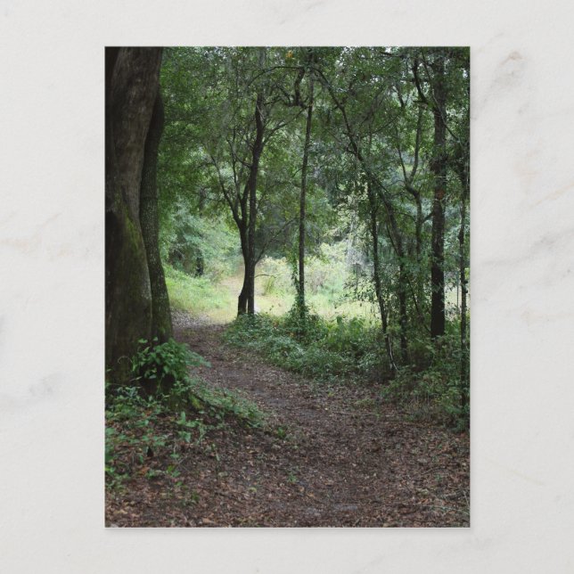 Cartão Postal Jardins de Maclay (Frente)