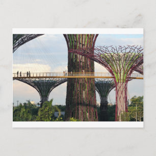 Cartão Postal Jardins do parque ecológico da baía de Singapura