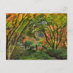 Cartão Postal Jardins Japoneses no Outono em Portland, Oregon 4