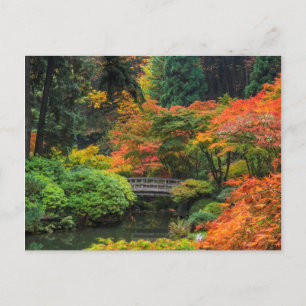 Cartão Postal Jardins Japoneses No Outono Em Portland, Oregon 5