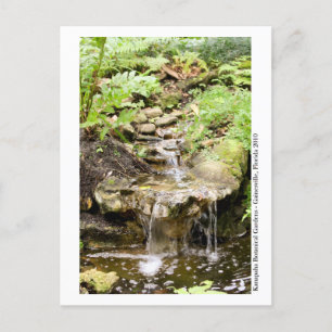 Cartão Postal Jardins Kanapaha - Gainesville 002