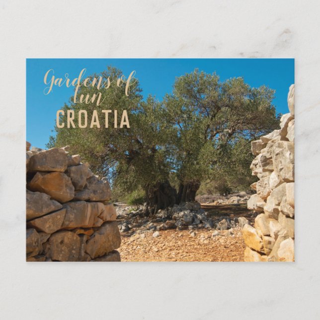 Cartão Postal Jardins Olivais de Lun (Frente)