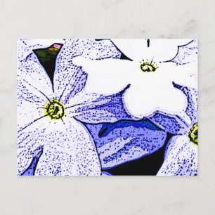 Cartão Postal Jasmine