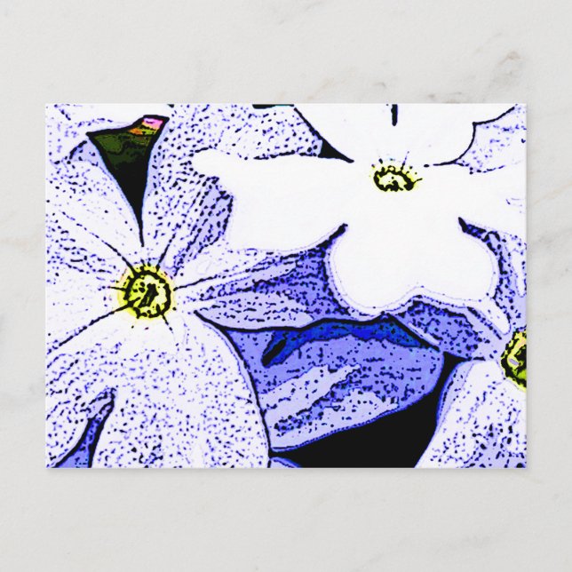 Cartão Postal Jasmine (Frente)