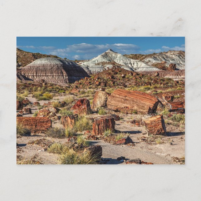 Cartão Postal Jasper Forest (Frente)