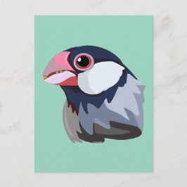 Cartão Postal Java Sparrow — simplificado