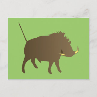 Cartão Postal Javali selvagem