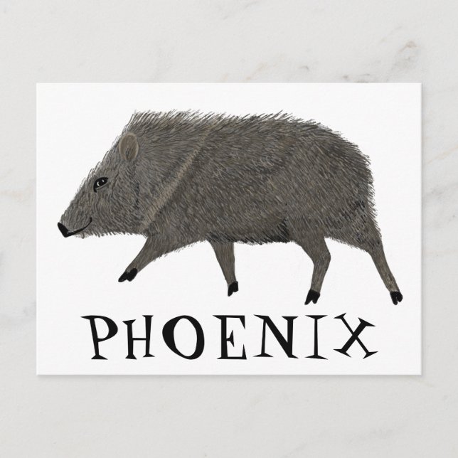 Cartão Postal Javelina PHOENIX Deserto Natureza Selvagem Animal (Frente)
