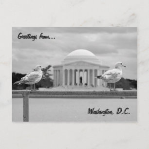 Cartão Postal Jefferson Memorial / Tidal Basin
