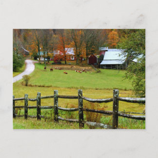 Cartão postal Jenne Fazenda