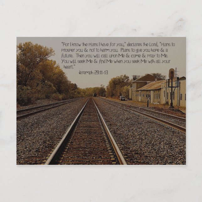 Cartão Postal Jeremiah 29:11 Cartão-postal (Frente)