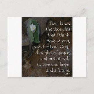 Cartão Postal Jeremiah 29:11 esperança para o futuro