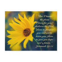 Jeremiah 29:11, eu sei os planos que tenho para vo