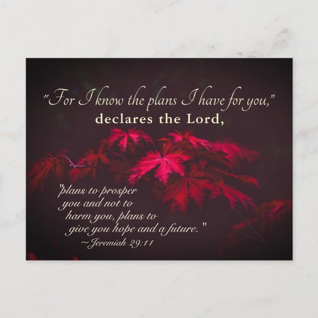 Cartão Postal Jeremiah 29:11 Porque eu sei os planos que tenho p (Frente)