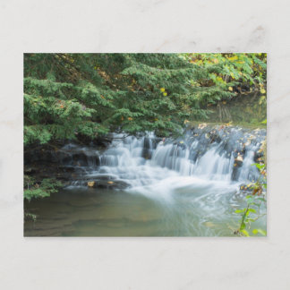 Cartão Postal Jesmond Dene