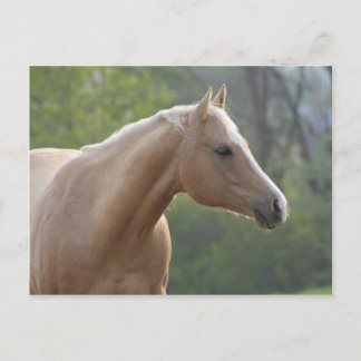 Cartão Postal Jessie Rey Freckle