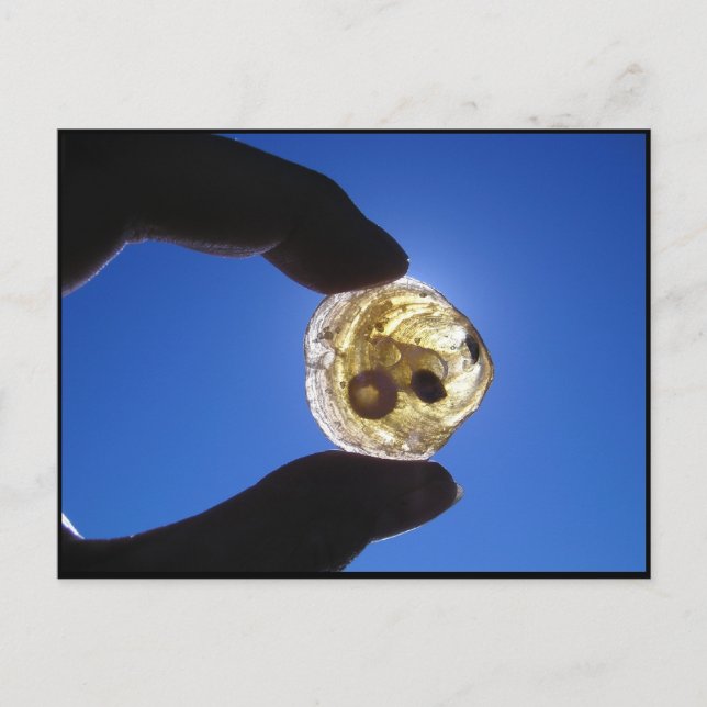 Cartão Postal Jessups Neck, Long Island (Frente)