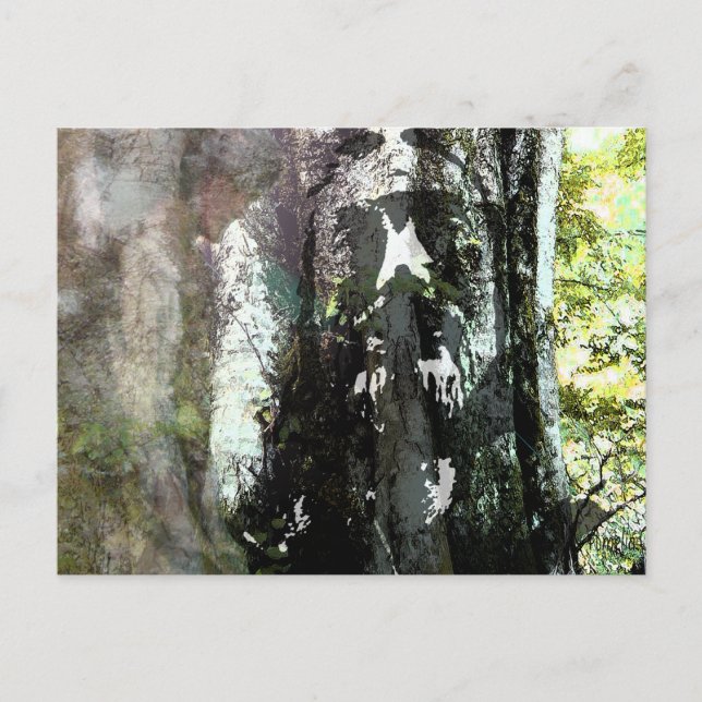 Cartão Postal Jesus e a Árvore (Frente)