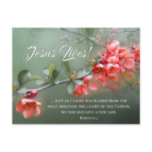 Jesus Vive Flores de primavera Bíblia na Páscoa