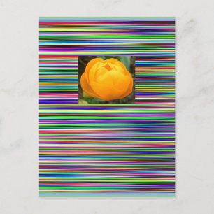 Cartão Postal Jewel Stripes TULIP POSTCARD