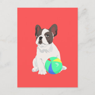 Cartão Postal Jim O Bulldog Francês Brinca Com Sua Bola