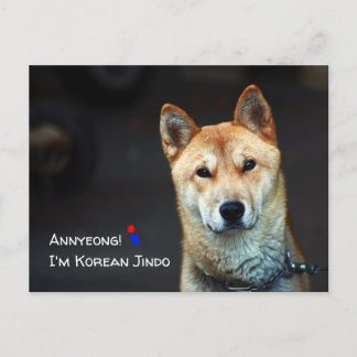 Cartão postal jindo coreano