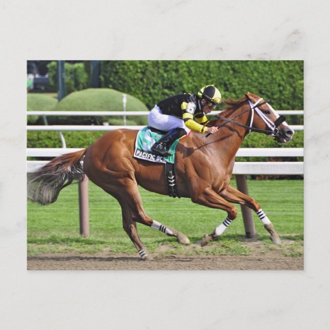 Cartão Postal Joel Rosario a bordo do Oceano Pacífico (Frente)