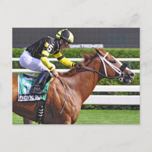 Cartão Postal Joel Rosario a bordo do Oceano Pacífico