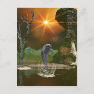Cartão Postal Jogando golfinho no belo pôr do sol