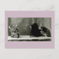jogo de diversão de gatos engraçados vintage photo
