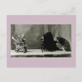 Cartão Postal jogo de diversão de gatos engraçados vintage photo