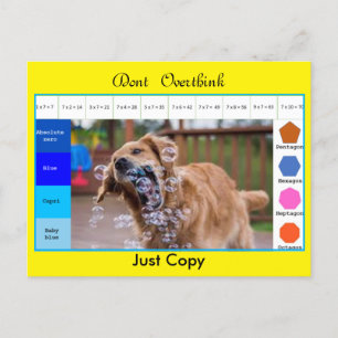Cartão Postal Jogos educativos de cachorro engraçado