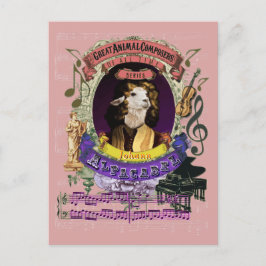 Cartão Postal Johann Alpacabel Alpaca Animal Composer Pachelbel