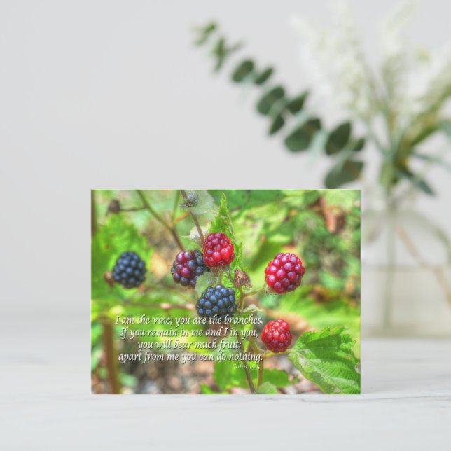Cartão Postal John 15:5 (Em pé/Frente)