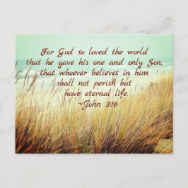 Cartão Postal John 3:16 Por Deus tão amado pelo mundo, Bíblia Ve