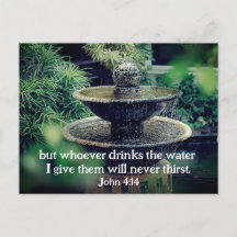 John 4:14 Whoever drinks the water I give Bible
