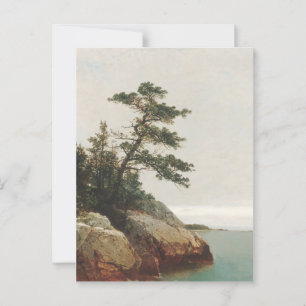 Cartão Postal John Frederick Kensett Old Pine Landscape Impressã