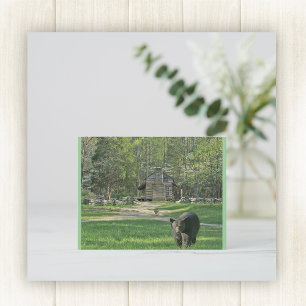 Cartão Postal John Oliver Cabin