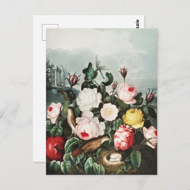 Cartão Postal John Thornton Rosas do Templo da Flora (Frente/Verso)