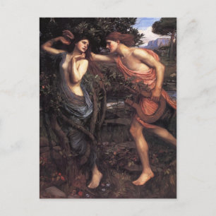 Cartão Postal John William Waterhouse - Apollo e Daphne
