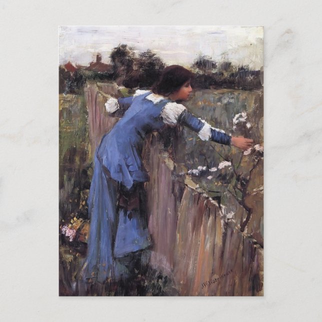 Cartão Postal John William Waterhouse - O Seletor da Flor (Frente)