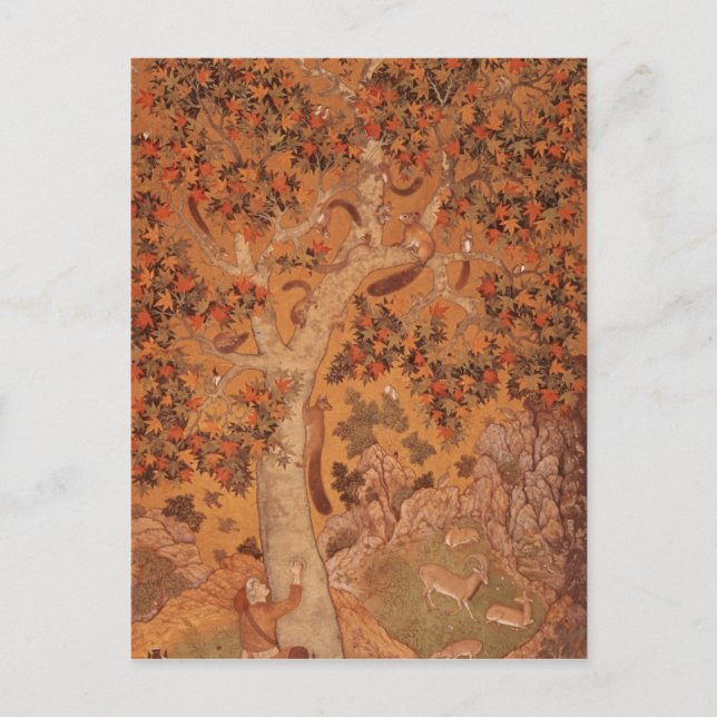 Cartão Postal Johnson Album I, No.30 Squirrels num avião (Frente)