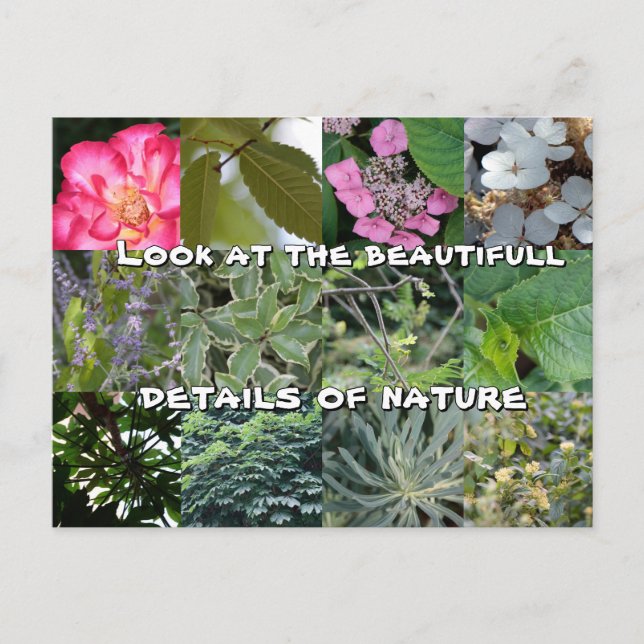 Cartão Postal joie texte fleur feuille vert jardin printemps (Frente)