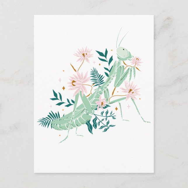 CARTÃO POSTAL JOLIE SAUTERELLE (Frente)