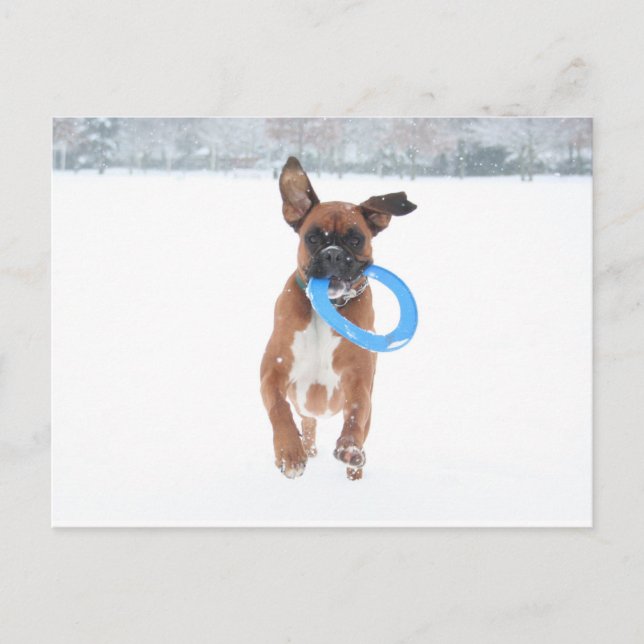 Cartão Postal Jolie tocando frita na neve (Frente)