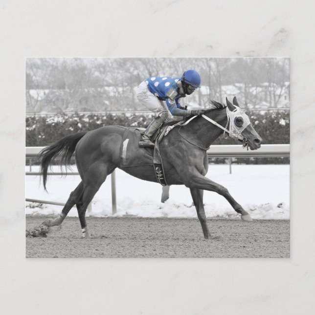 Cartão Postal Jose Lezcano no Mo Flash (Frente)