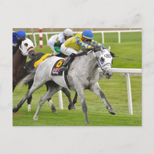 Cartão Postal Jose Ortiz em Rápido e Exato (Frente)