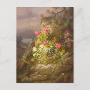 Cartão Postal Josef Lauer Natureza-morta com flores e caracol