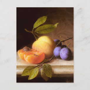 Cartão Postal Joseph Peter Wilms - Peaches e Ameixas